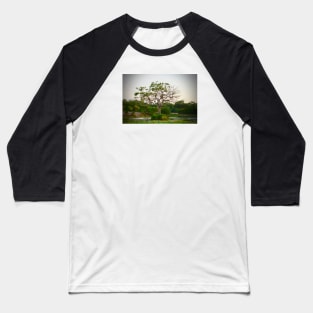 Tree of Life / Swiss Artwork Photography Baseball T-Shirt